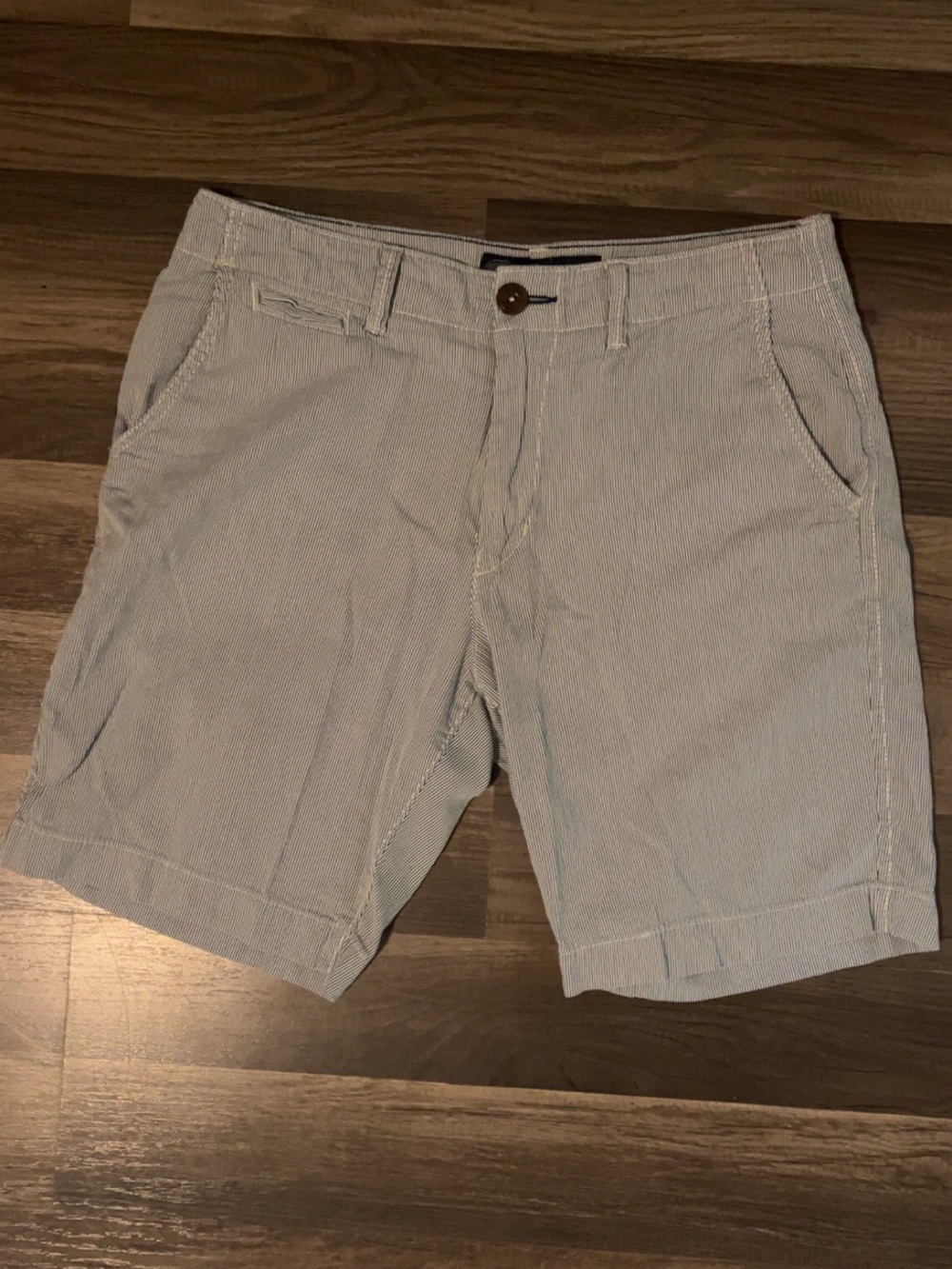 American Eagle Mens Shorts Blue and White Stripes